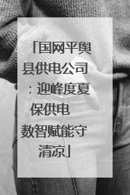 国网平舆县供电公司：迎峰度夏保供电  数智赋能守清凉