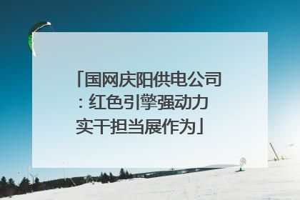 国网庆阳供电公司：红色引擎强动力 实干担当展作为