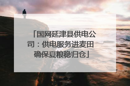 国网延津县供电公司：供电服务进麦田 确保夏粮稳归仓