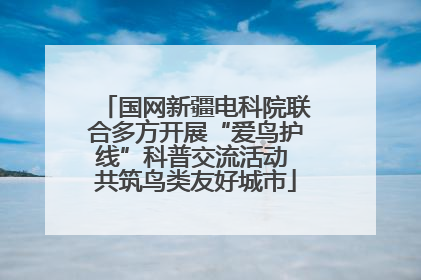 国网新疆电科院联合多方开展“爱鸟护线”科普交流活动 共筑鸟类友好城市
