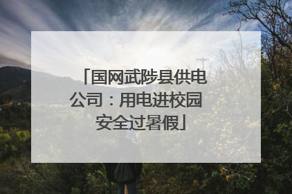 国网武陟县供电公司：用电进校园  安全过暑假