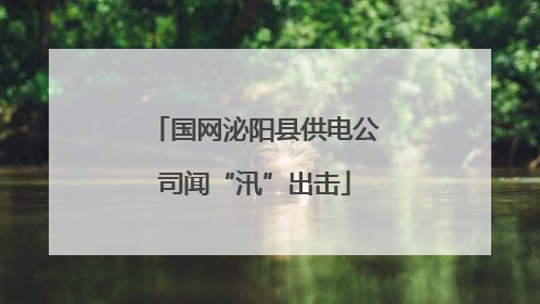 国网泌阳县供电公司闻“汛”出击