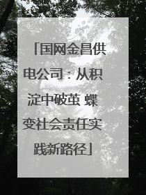 国网金昌供电公司：从积淀中破茧 蝶变社会责任实践新路径