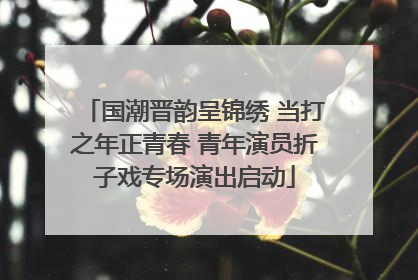 国潮晋韵呈锦绣 当打之年正青春 青年演员折子戏专场演出启动