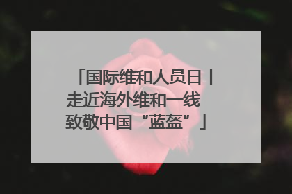 国际维和人员日丨走近海外维和一线 致敬中国“蓝盔”