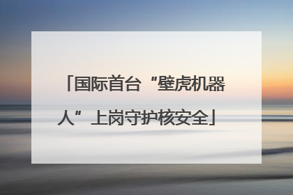 国际首台“壁虎机器人”上岗守护核安全