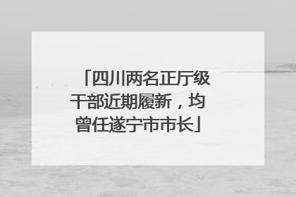 四川两名正厅级干部近期履新，均曾任遂宁市市长
