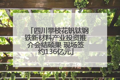 四川攀枝花钒钛钢铁新材料产业投资推介会结硕果 现场签约136亿元
