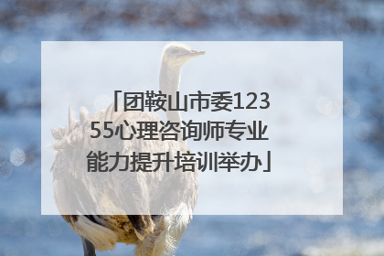 团鞍山市委12355心理咨询师专业能力提升培训举办