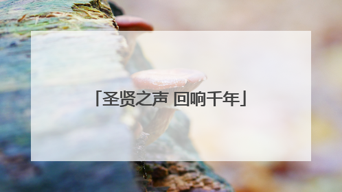 圣贤之声 回响千年