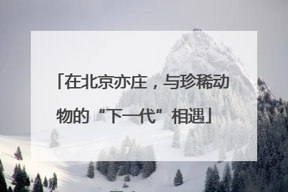 在北京亦庄，与珍稀动物的“下一代”相遇