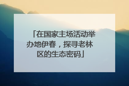 在国家主场活动举办地伊春，探寻老林区的生态密码