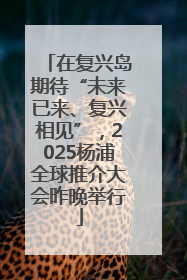 在复兴岛期待“未来已来、复兴相见”，2025杨浦全球推介大会昨晚举行