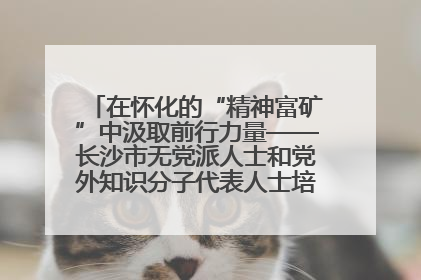 在怀化的“精神富矿”中汲取前行力量——长沙市无党派人士和党外知识分子代表人士培训班在怀化圆满举办
