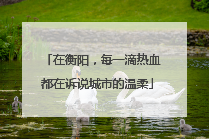 在衡阳，每一滴热血都在诉说城市的温柔