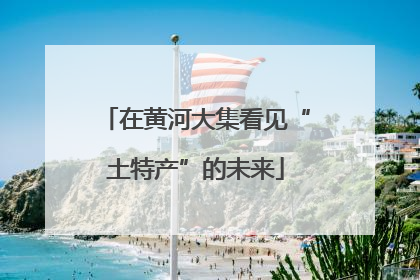 在黄河大集看见“土特产”的未来