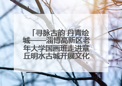 寻脉古韵 丹青绘城——淄博高新区老年大学国画班走进章丘明水古城开展文化研学活动