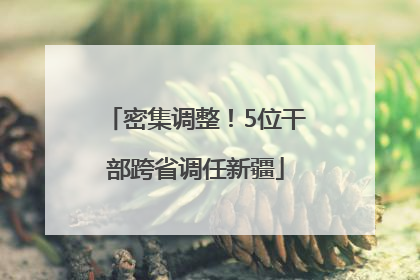 密集调整！5位干部跨省调任新疆