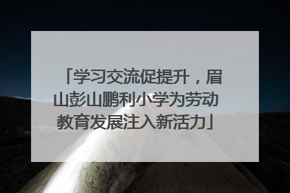 学习交流促提升，眉山彭山鹏利小学为劳动教育发展注入新活力
