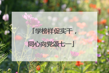 学榜样促实干，同心向党颂七一