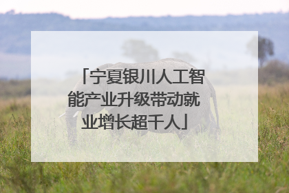 宁夏银川人工智能产业升级带动就业增长超千人