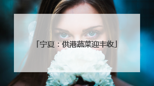宁夏：供港蔬菜迎丰收