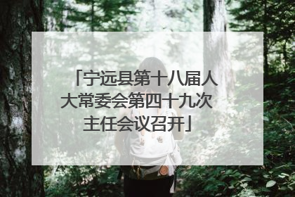 宁远县第十八届人大常委会第四十九次主任会议召开