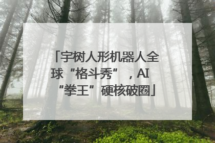 宇树人形机器人全球“格斗秀”，AI“拳王”硬核破圈