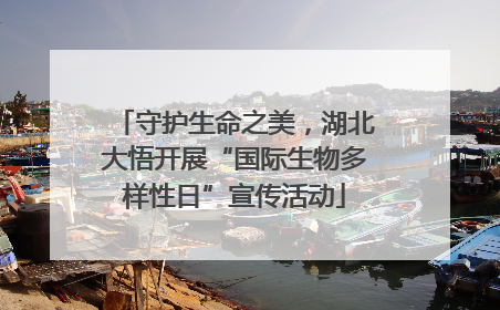 守护生命之美，湖北大悟开展“国际生物多样性日”宣传活动