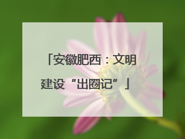 安徽肥西：文明建设“出圈记”