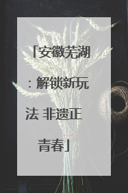 安徽芜湖：解锁新玩法 非遗正青春