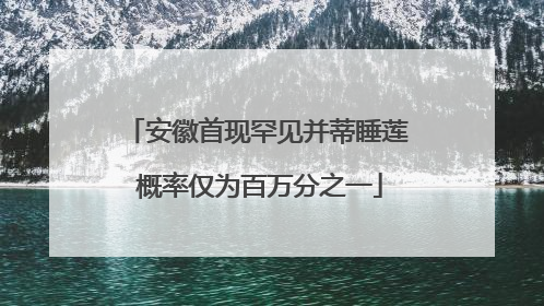 安徽首现罕见并蒂睡莲 概率仅为百万分之一