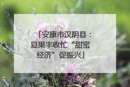 安康市汉阴县：夏果丰收忙“甜蜜经济”促振兴