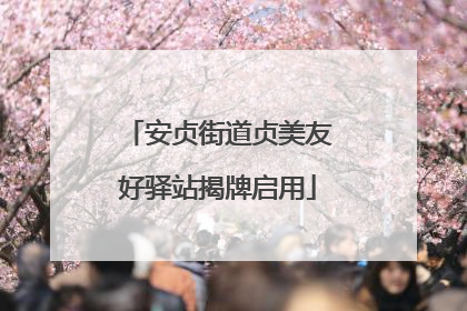 安贞街道贞美友好驿站揭牌启用