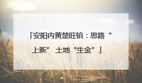 安阳内黄楚旺镇：思路“上新” 土地“生金”