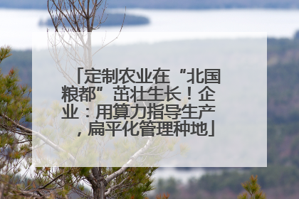 定制农业在“北国粮都”茁壮生长！企业：用算力指导生产，扁平化管理种地