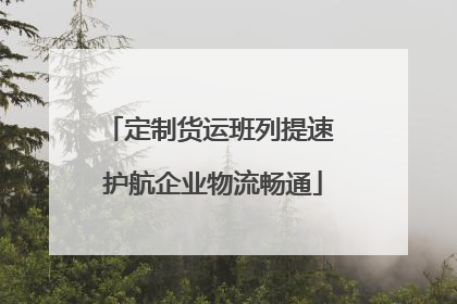 定制货运班列提速 护航企业物流畅通