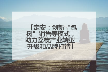 定安：创新“包树”销售等模式，助力荔枝产业转型升级和品牌打造