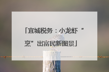 宜城税务：小龙虾“烹”出富民新图景