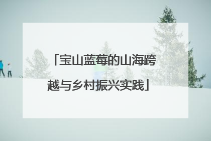 宝山蓝莓的山海跨越与乡村振兴实践