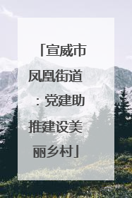宣威市凤凰街道：党建助推建设美丽乡村