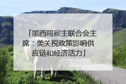 墨西哥雇主联合会主席：美关税政策影响供应链和经济活力