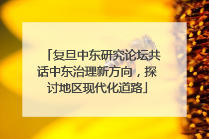 复旦中东研究论坛共话中东治理新方向，探讨地区现代化道路