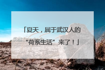 夏天，属于武汉人的“荷系生活”来了！