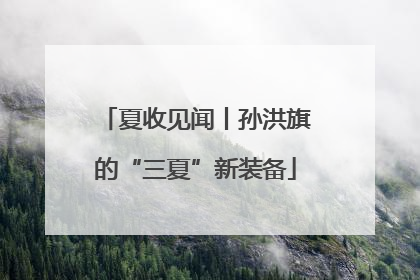 夏收见闻丨孙洪旗的“三夏”新装备