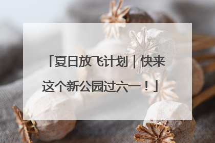 夏日放飞计划｜快来这个新公园过六一！