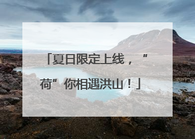 夏日限定上线，“荷”你相遇洪山！