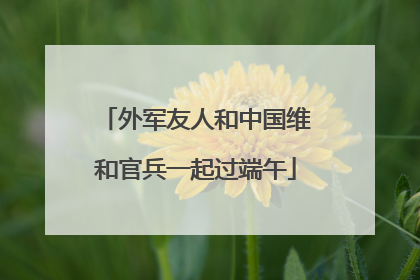 外军友人和中国维和官兵一起过端午