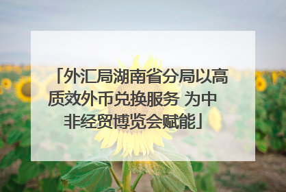 外汇局湖南省分局以高质效外币兑换服务 为中非经贸博览会赋能