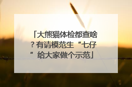 大熊猫体检都查啥？有请模范生“七仔”给大家做个示范